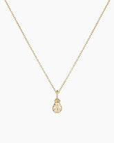 Diamond Ladybug Charm Necklace