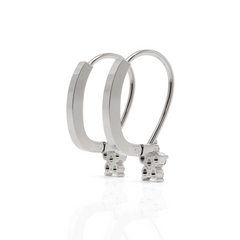 Fern Diamond Dropping Earrings